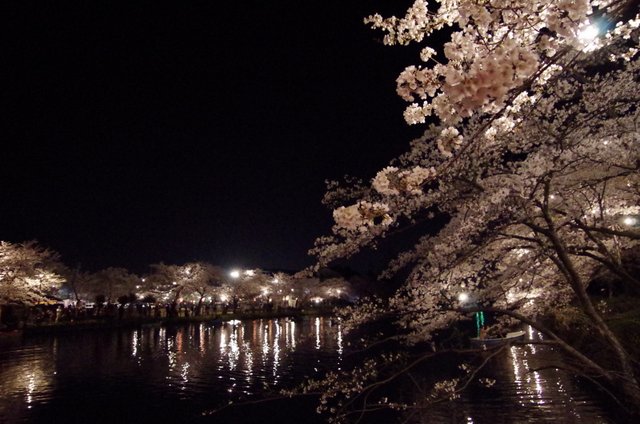 第90回 高田城百万人 日本三大夜桜 観桜会 15年春 満開の夜桜を眺めてきました スノーボードが大好きっ Snow Life In 21 第90回 高田城百万人 日本三大夜桜 観桜会 15年春 満開の夜桜を眺めてきました スノーボードが大好きっ Snow Life In 21