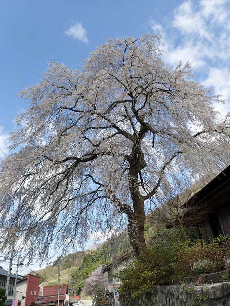 f0214649_51322.jpg