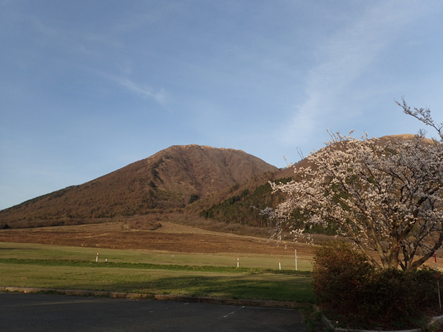 f0214649_522913.jpg
