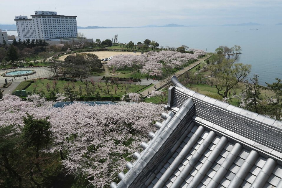 琵琶湖眺めて、お城に桜_d0048750_1945482.jpg