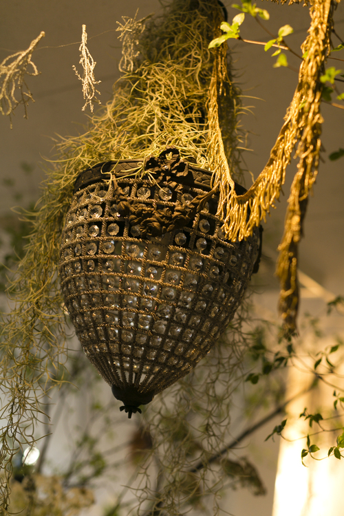 Rêve de printemps ~春の夜の夢~_d0162257_84417.jpg
