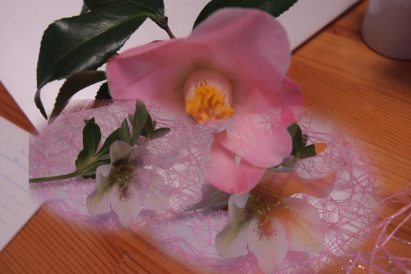 a0118162_20334389.png