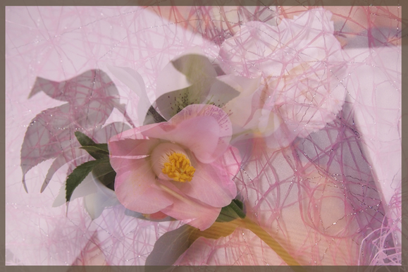 a0118162_2033924.png