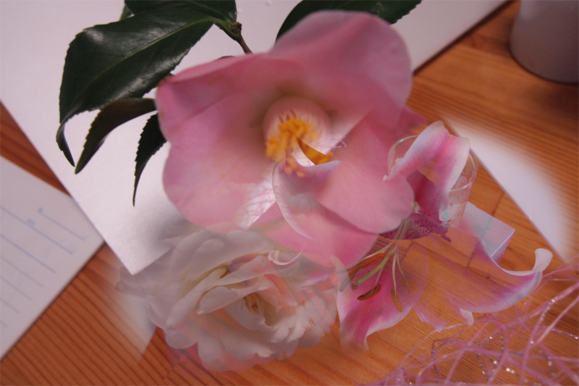 a0118162_20343820.png