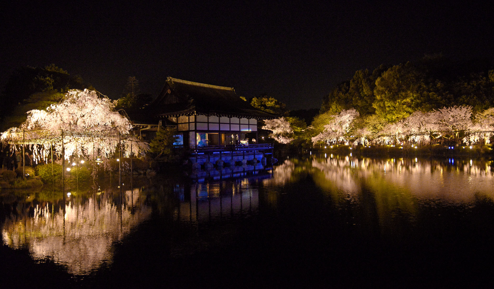 夜ざくらとコンサート In 平安神宮 Photokiti写真日誌