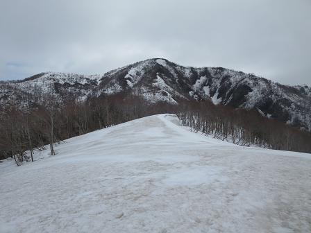 左千方・三国岳　　余呉トレイル＋残雪でラクラク？_f0302771_14293126.jpg