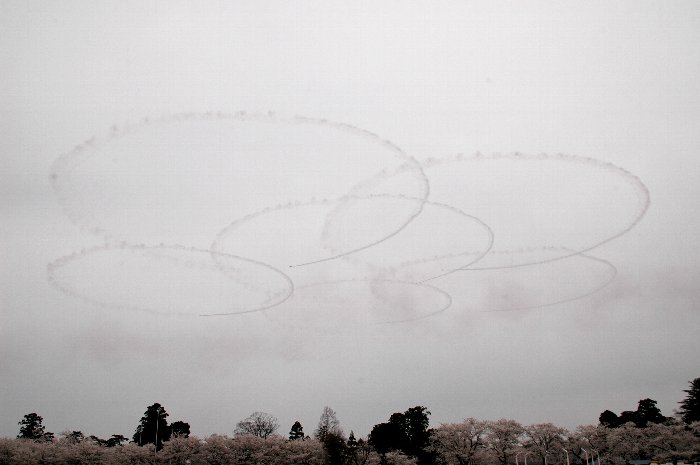 高田公園上空にブルーインパルスが_d0107372_15354826.jpg