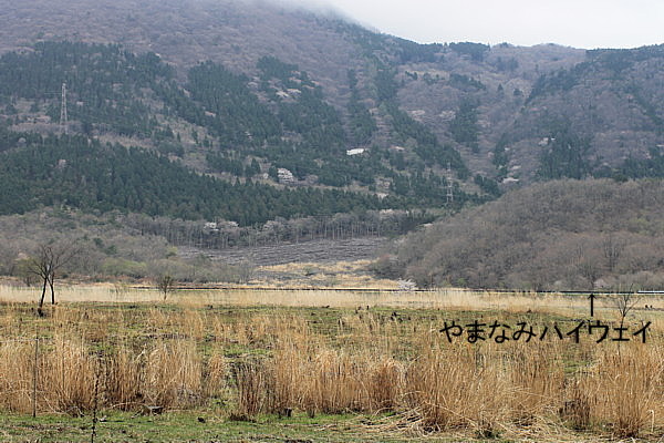 b0088173_19843.jpg