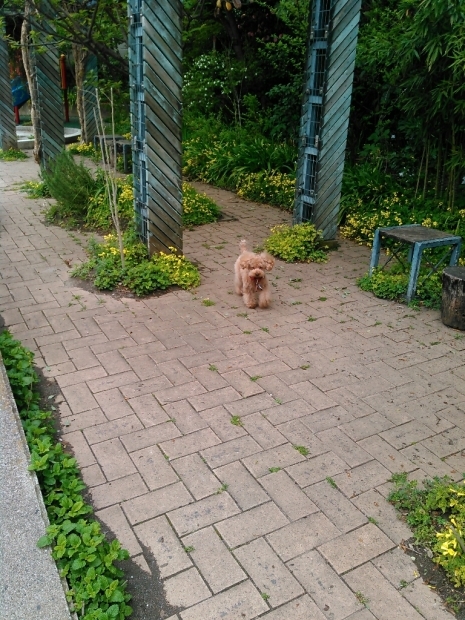 c0162773_13054774.jpg