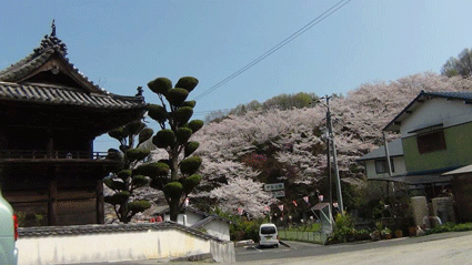 c0149475_21535329.gif