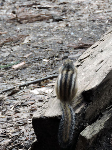 f0083977_23133949.jpg