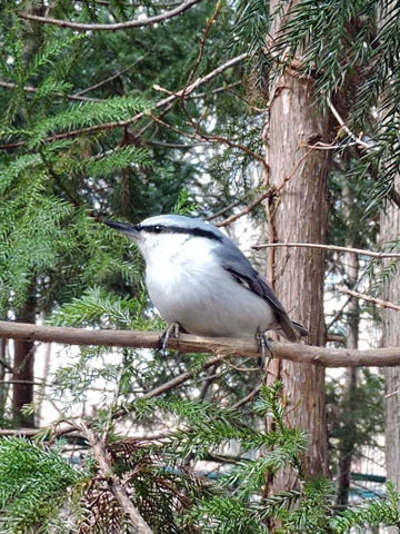 f0083977_23155934.jpg