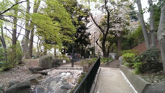 e0020682_2158399.jpg