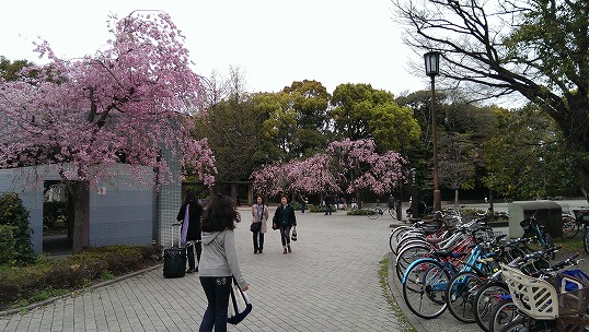 e0020682_2232199.jpg