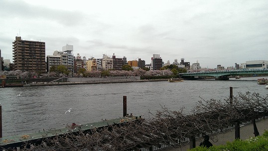 e0020682_2241661.jpg