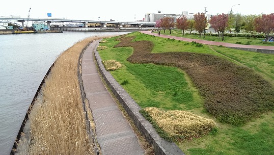 e0020682_23155334.jpg