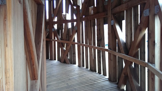e0020682_2335034.jpg