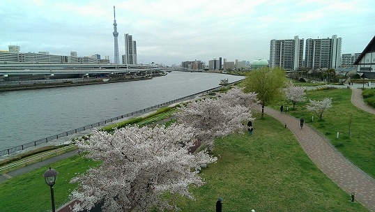 e0020682_2343959.jpg
