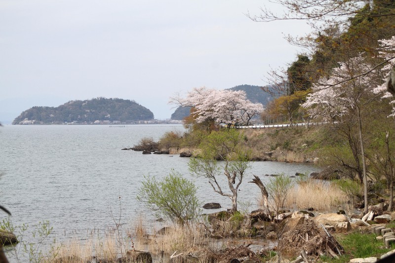 花のある風景_b0223198_7372816.jpg