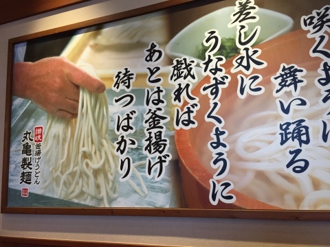 うどん  ちよ志 ・ 丸亀製麵_e0115904_22445684.jpg