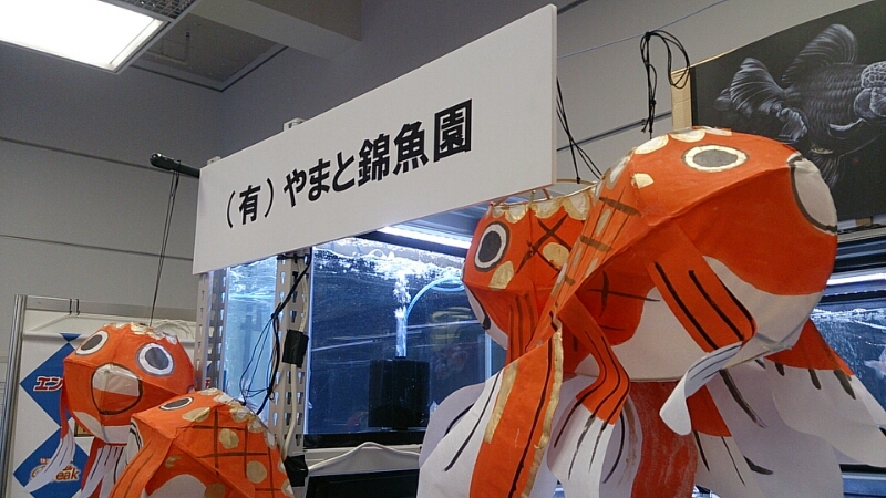 b0298605_1895880.jpg