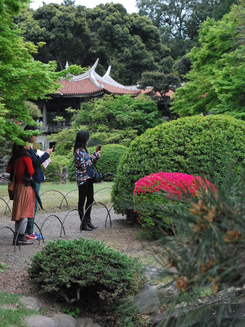 東京新宿御苑の御成婚記念御涼亭、台湾閣(昭和モダン建築探訪)_f0142606_514389.jpg