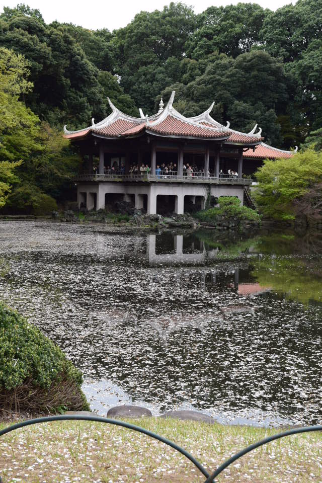 東京新宿御苑の御成婚記念御涼亭、台湾閣(昭和モダン建築探訪)_f0142606_5185141.jpg