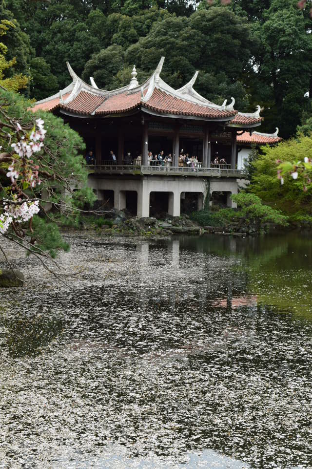 東京新宿御苑の御成婚記念御涼亭、台湾閣(昭和モダン建築探訪)_f0142606_581536.jpg