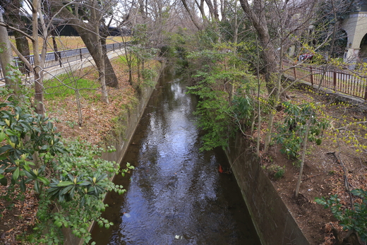 玉川上水―５　喜平橋～三鷹・けやき橋_e0285612_622725.jpg