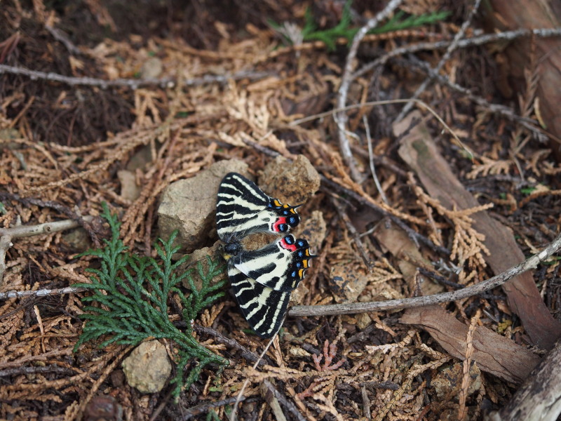 f0330321_13142280.jpg