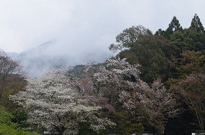 雨の京都_a0322322_21332627.jpg