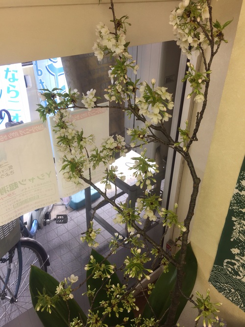 まだまだ寒い季節´θ`)ノ_a0200423_16192025.jpg