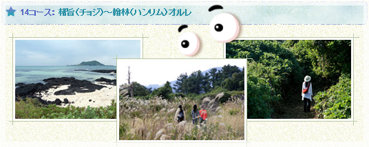 a0115924_17305918.png
