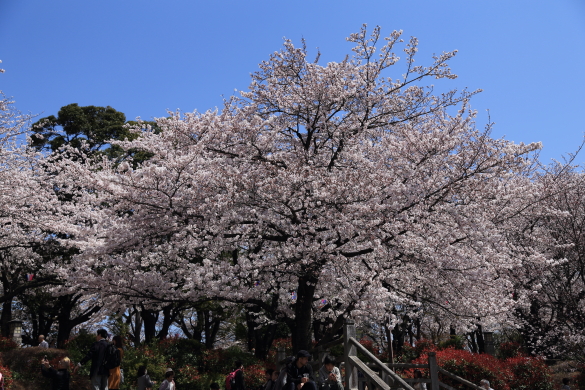 f0229832_9422480.jpg