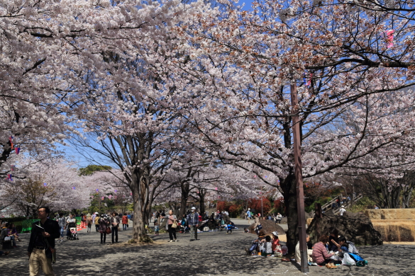 f0229832_9442776.jpg