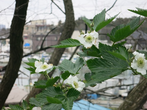 a0317336_2323169.jpg