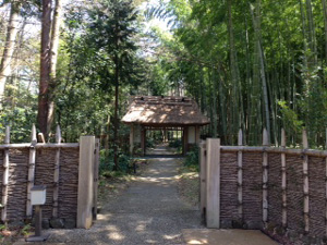 箱根旅行記　　その６_c0009036_9105384.jpg