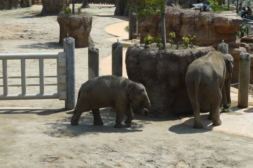 動物園_f0355448_18321400.jpg