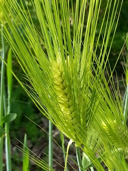 c0330749_22231062.jpg
