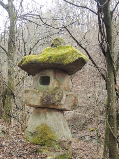 苔に注目しています_c0341450_11555721.jpg