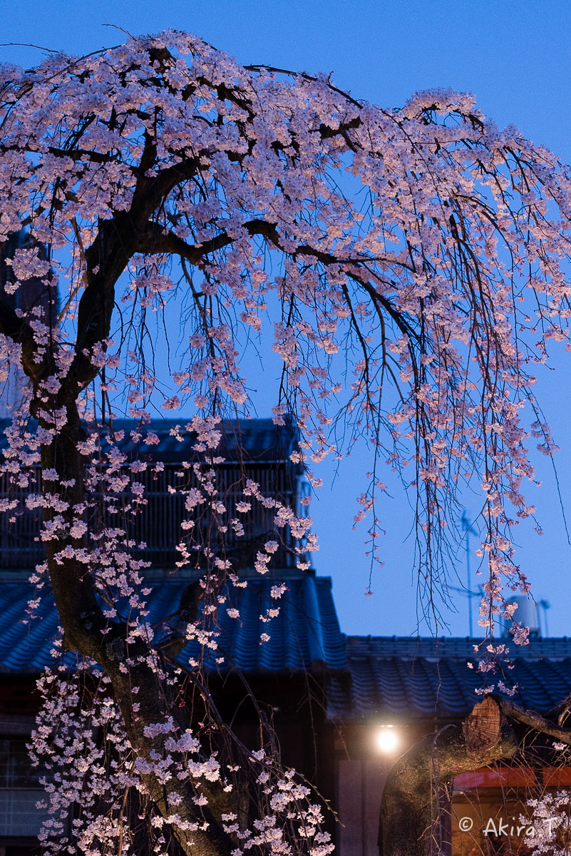f0152550_225542.jpg