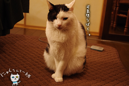 可哀想なボク、演出中_e0031853_21555166.jpg