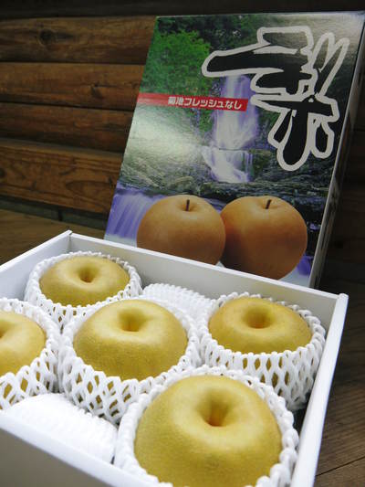 熊本梨 岩永農園 梨の花とミツバチによる交配(受粉)の話_a0254656_19183169.jpg