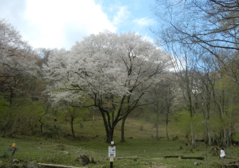 f0228958_1814161.jpg