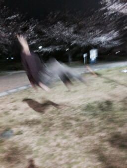 花見だ〜‼︎_e0166762_17461950.jpg