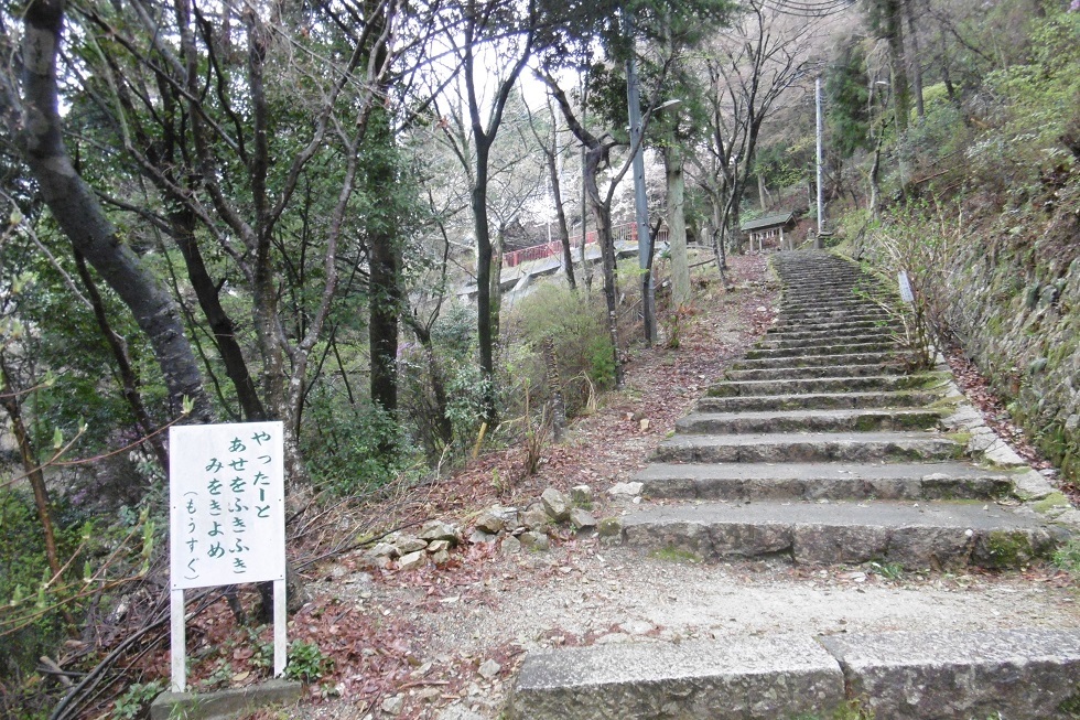 朝の散歩 有馬の街_f0205367_11585651.jpg