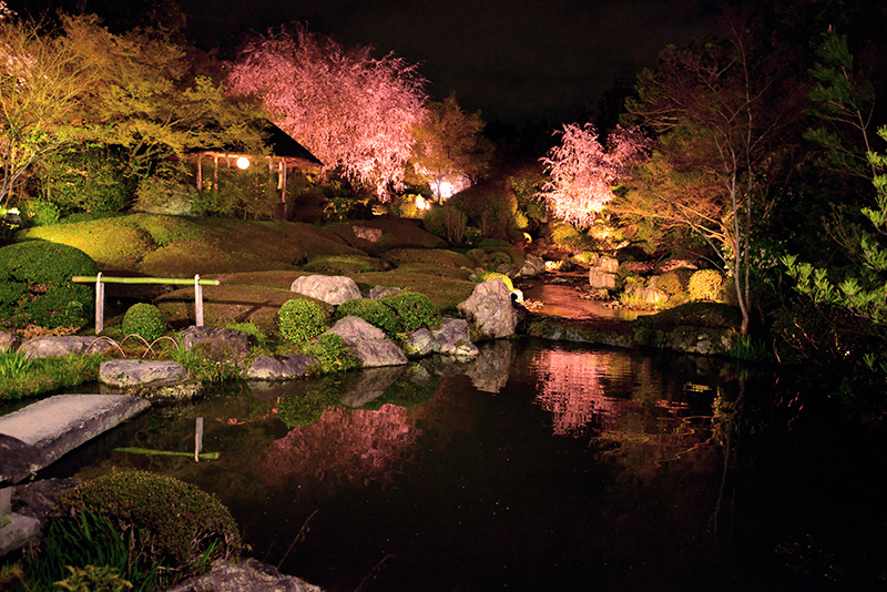 余香苑の夜　退藏院_c0317868_16274396.jpg