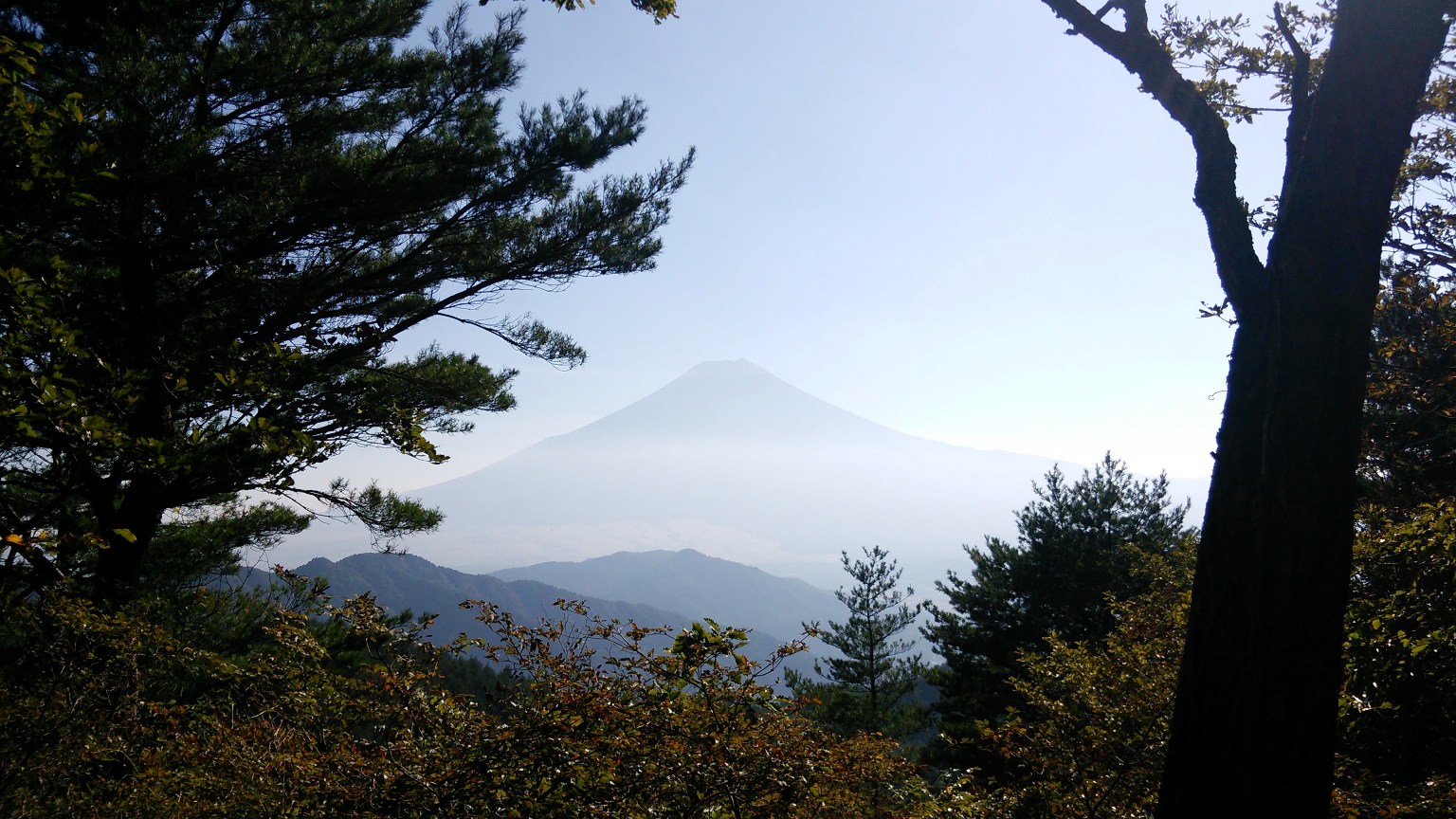 2014/09/29　倉見山　相定ヶ峰　02_d0233770_13323051.jpg