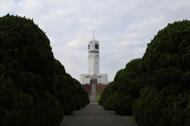 シンボルタワーの芝桜_f0310873_18351071.jpg