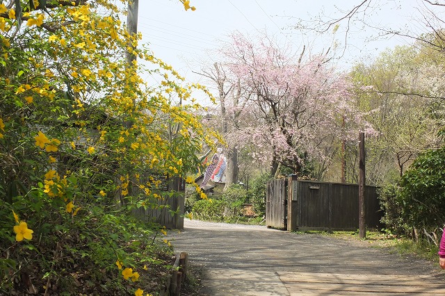 e0070891_1714490.jpg